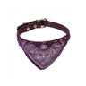 Leather Collar With Bandana Neck Scarf Designer Dog Collars 6 Colours