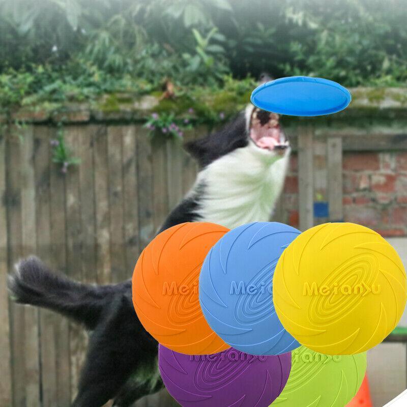 High-Quality Dog Frisbee for Dogs