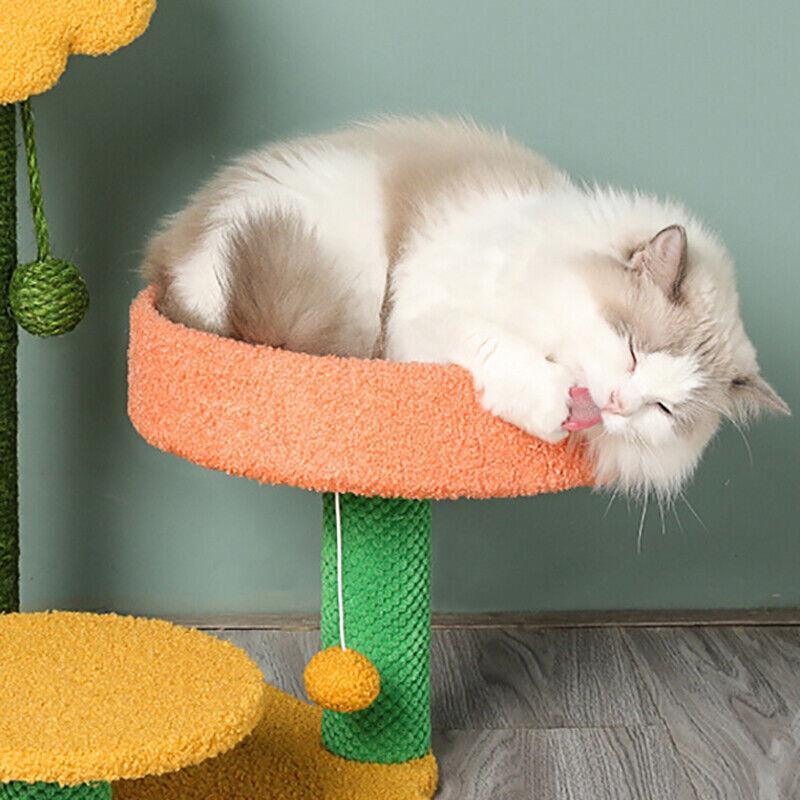 Cat Scratching Post