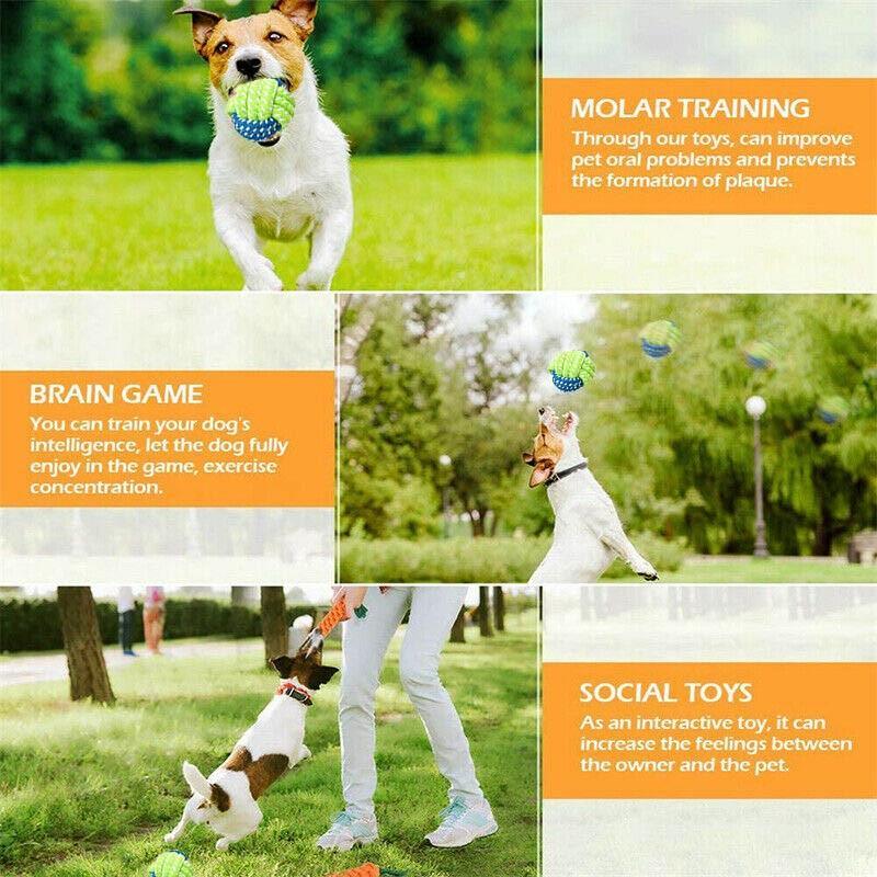  Durable Dog Chew Toys