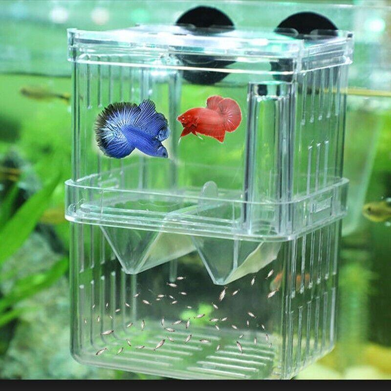 Durable Fish Tank Breeding Box for Safe Fish Separation