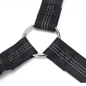 Pet Car Seat Belt Elastic 4 Colours