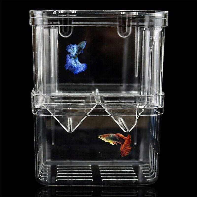 Durable Fish Tank Breeding Box for Safe Fish Separation