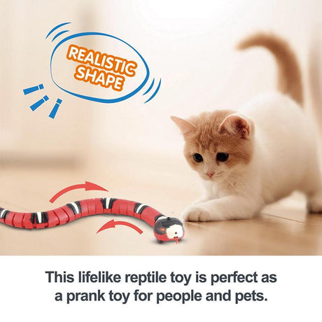 Rubber Snakes Cat Toy