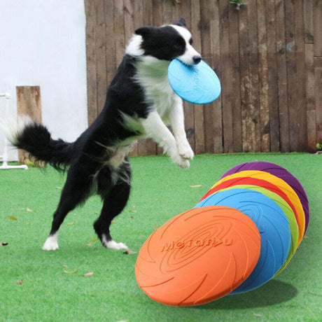 High-Quality Dog Frisbee for Dogs