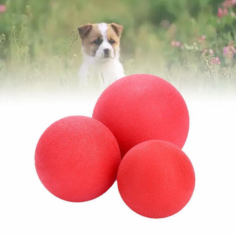 Dog Ball Toys for Interactive Play