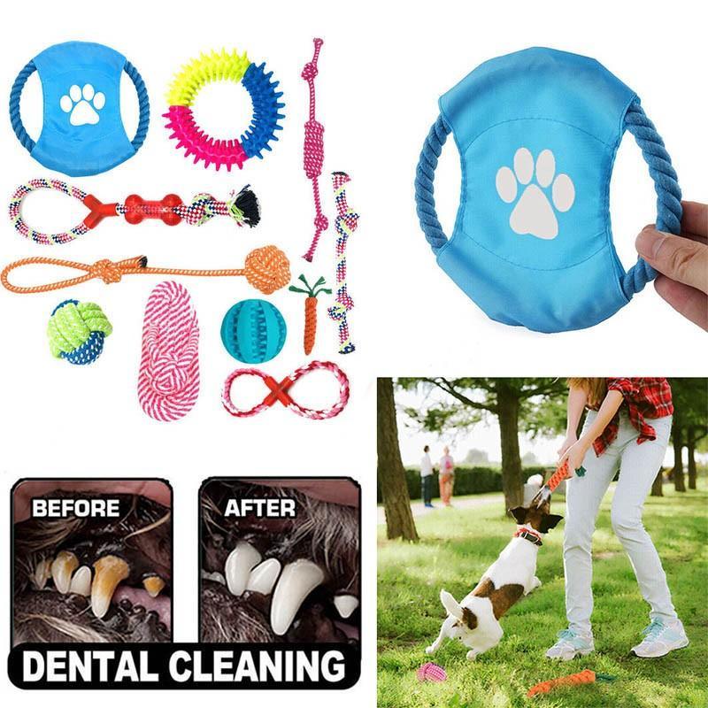  Durable Dog Chew Toys