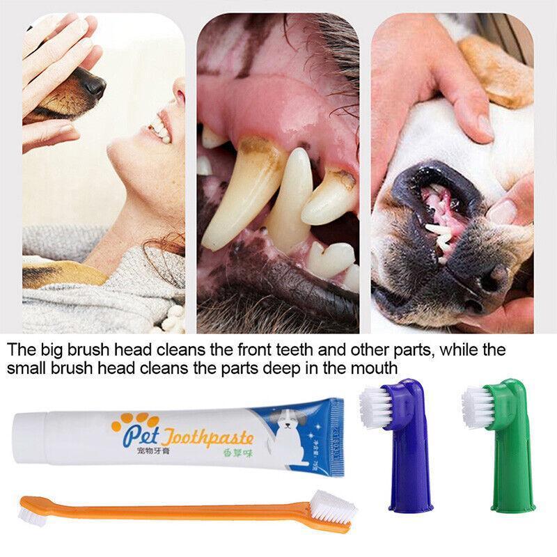 Dog Toothbrush for Effective Dental Care