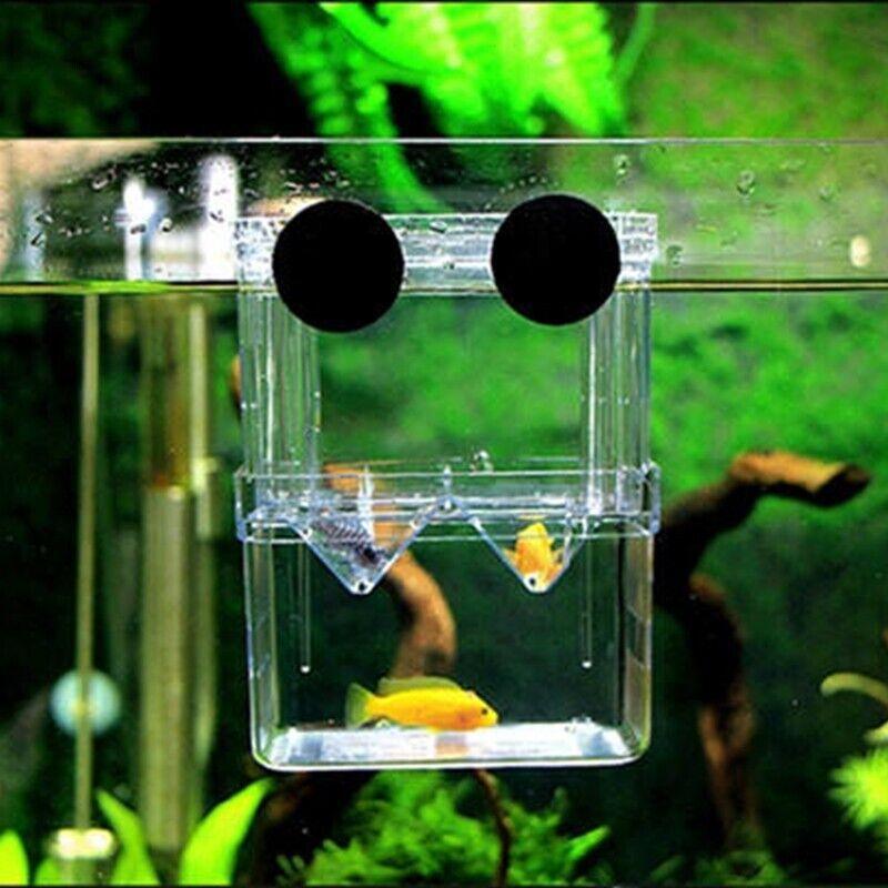 Durable Fish Tank Breeding Box for Safe Fish Separation