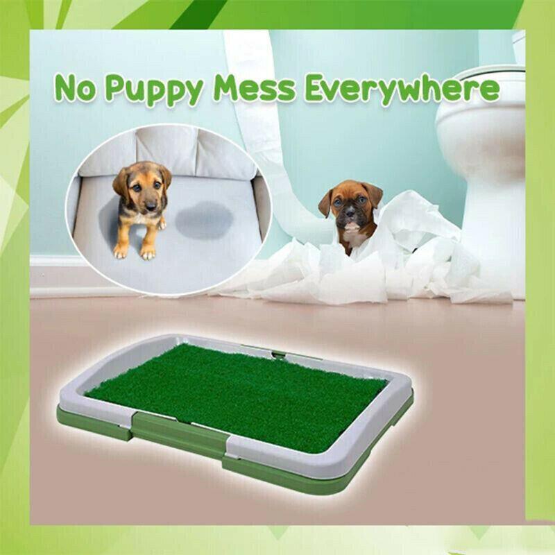 Absorbent Puppy Pee Pads for Potty Training