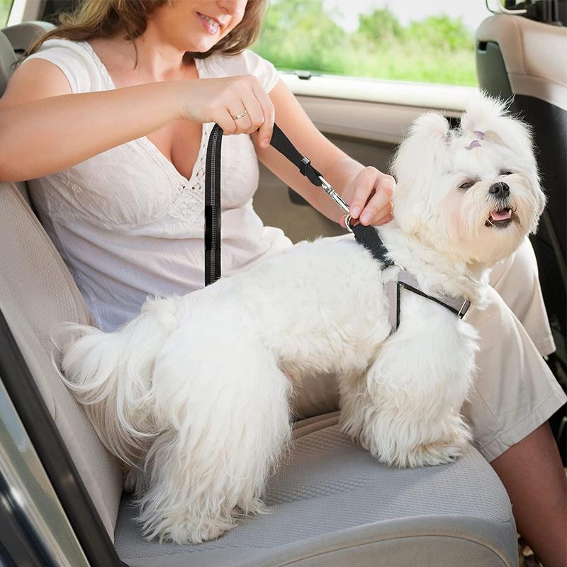 Pet Car Seat Belt Elastic 4 Colours