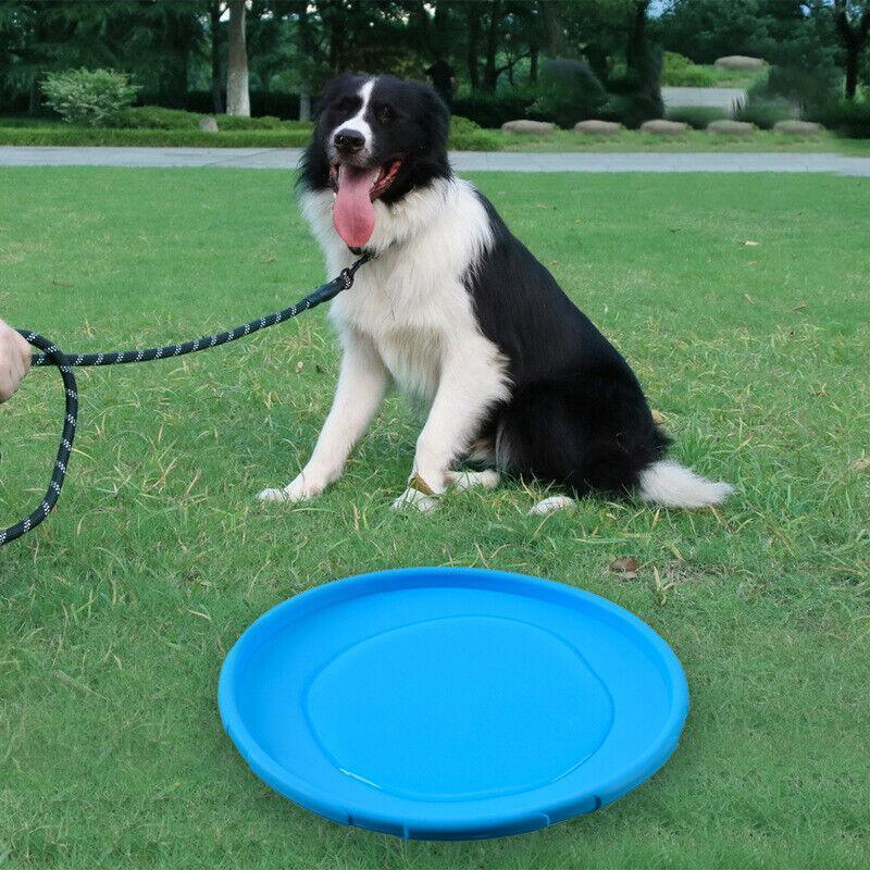 High-Quality Dog Frisbee for Dogs