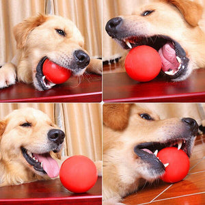 Dog Ball Toys for Interactive Play