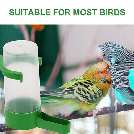 4-Piece Set Bird Water Feeder and Food Feeder for Bird Cages