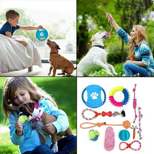  Durable Dog Chew Toys