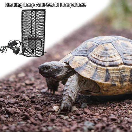 Reptile Heat Lamp Holder