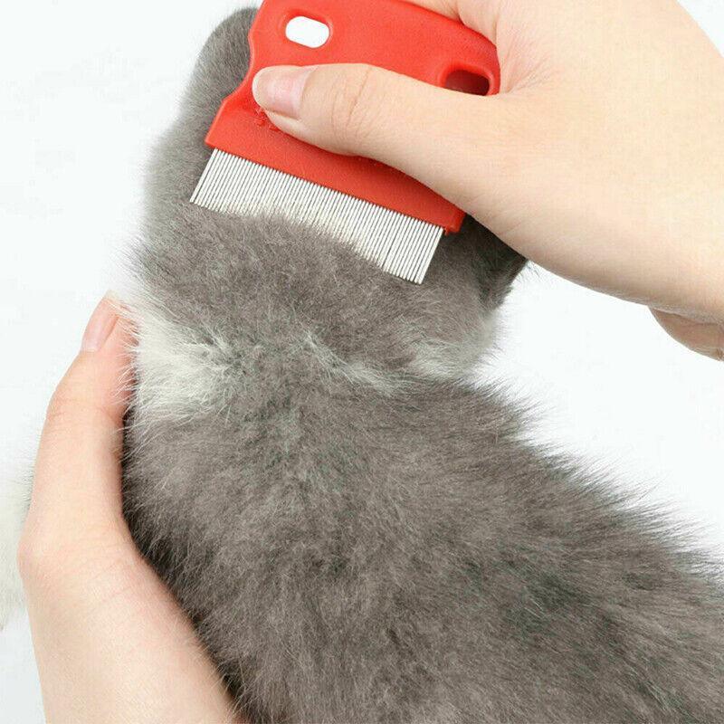 Shedding brush for dogs