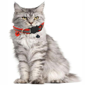 Reflective Cat Collar with Bell