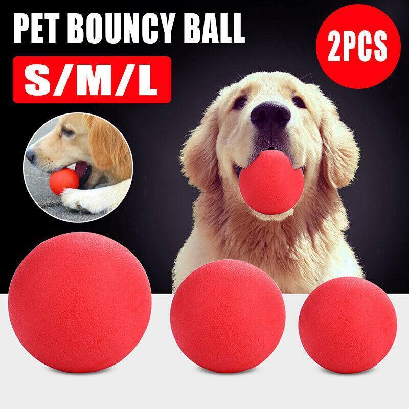 Dog Ball Toys for Interactive Play