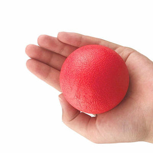 Dog Ball Toys for Interactive Play