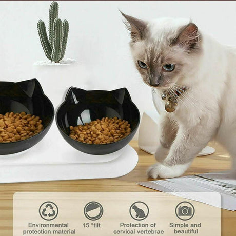 Modern and durable Raised Dog Bowls for improved pet dining