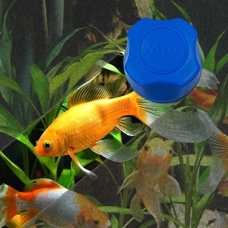 Magnetic Aquarium Glass Cleaner 3 Colours 37*37*25mm