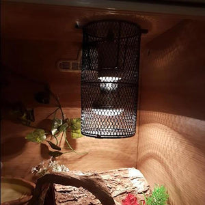 Reptile Heat Lamp Holder