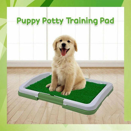 Absorbent Puppy Pee Pads for Potty Training