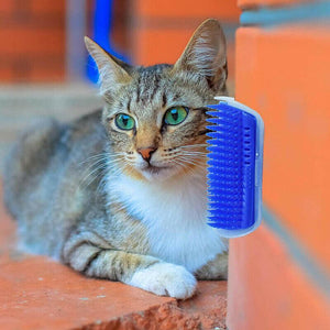 Cat hair brush and scratcher