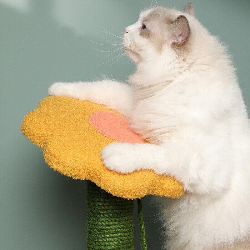 Cat Scratching Post