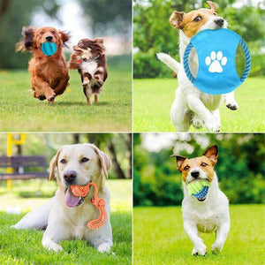  Durable Dog Chew Toys