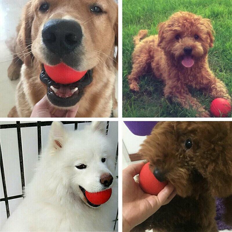 Dog Ball Toys for Interactive Play