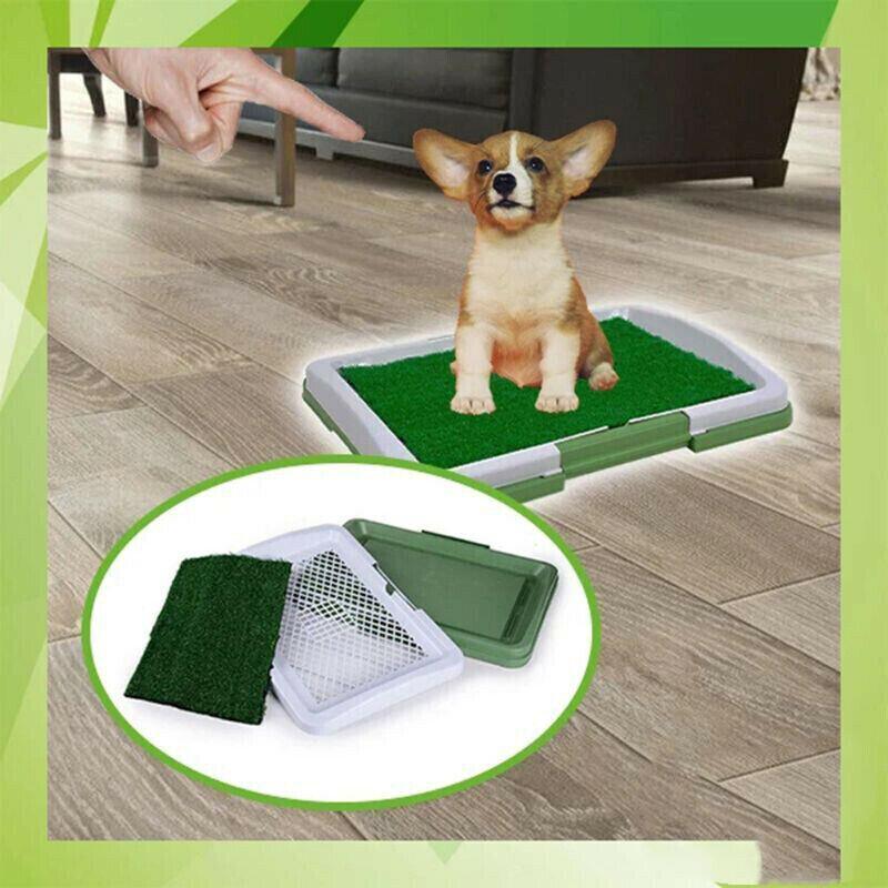 Absorbent Puppy Pee Pads for Potty Training