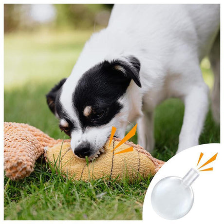 Replacement Squeaky Dog Toy Noisemakers