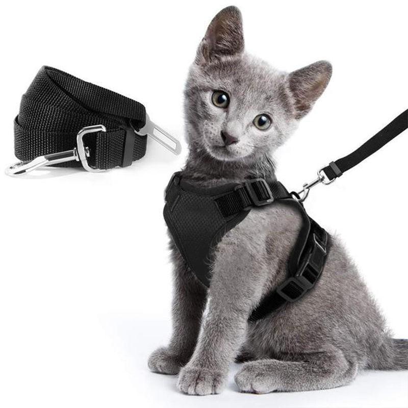 Cat Reflective Vest Harness Black XS/S