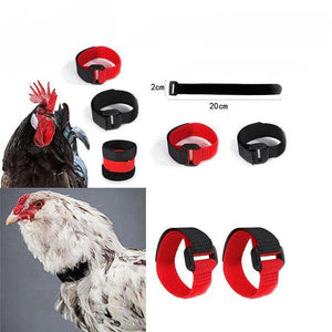 10pcs Chicken Neck Belt Nylon 2 Colours