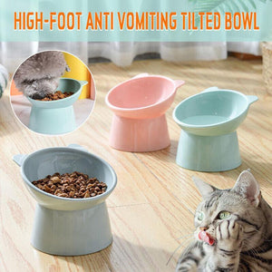 Anti-Vomiting Elevated Dog Food Bowl