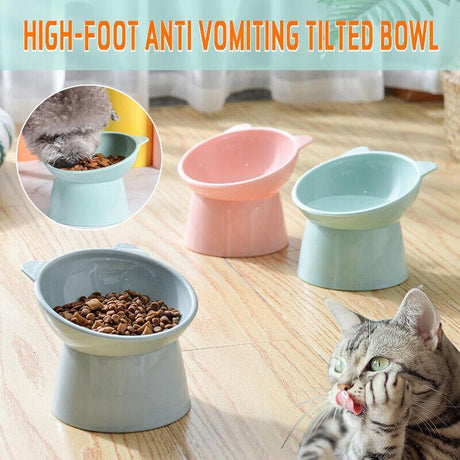 Anti-Vomiting Elevated Dog Food Bowl