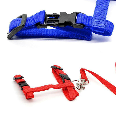 Adjustable Nylon Kitten Harness for safe and comfortable walks