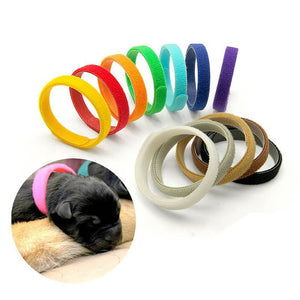 Whelping ID Collar Bands for Puppies and Kittens