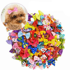 Assorted Dog Hair Bows