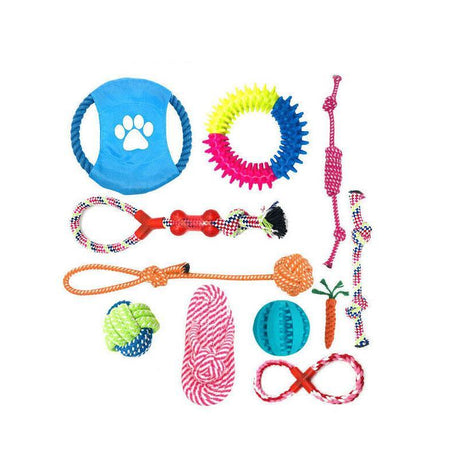 Colorful braided rope toys for dogs, perfect for interactive play