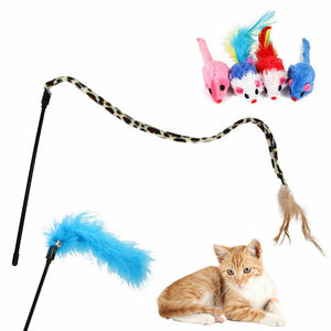 Assorted Kitten Toys for playful and active kittens