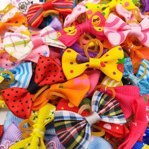 Assorted Dog Hair Bows