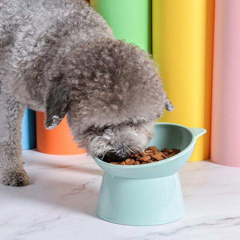 Anti-Vomiting Elevated Dog Food Bowl