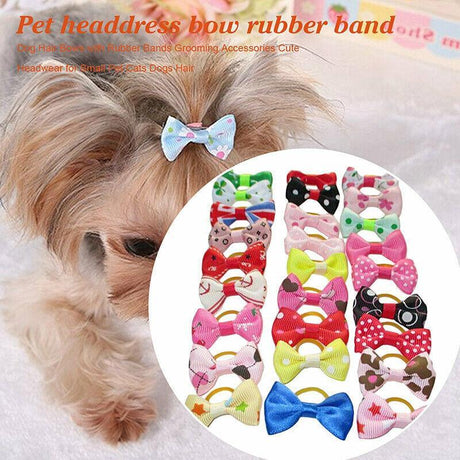 Assorted Dog Hair Bows