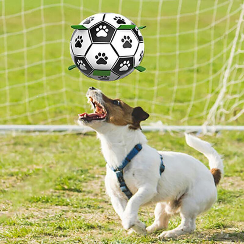 Dog happily playing with an Interactive Dog Soccer Ball outdoors