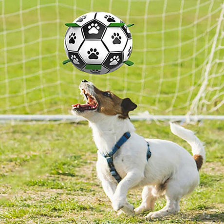 Dog happily playing with an Interactive Dog Soccer Ball outdoors