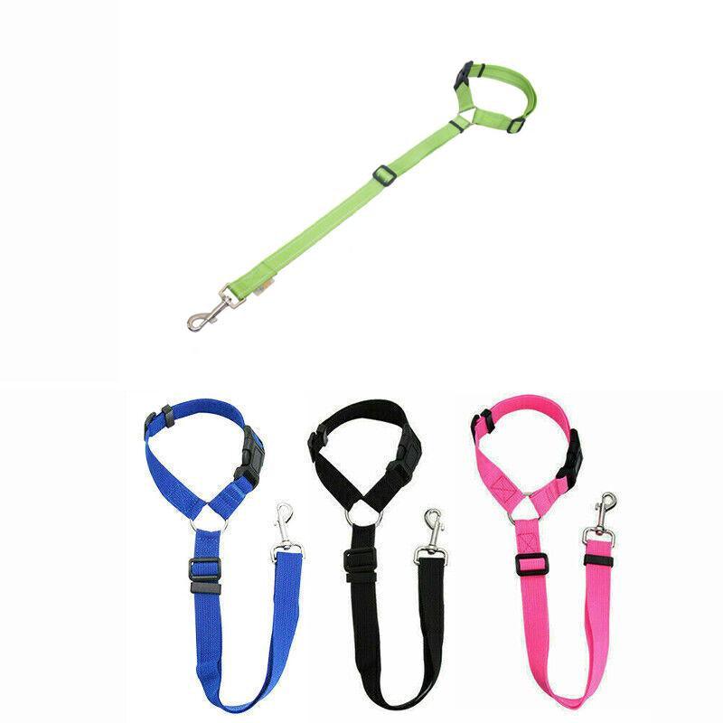 Adjustable Dog Seat Belt in various colors