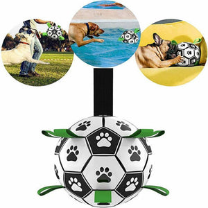 Dog happily playing with an Interactive Dog Soccer Ball outdoors